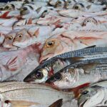 Produção de pescados brasileiros cresce 25%