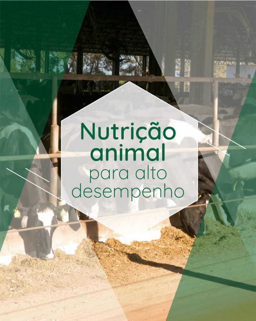 Aliados da Qualidade na Nutrição Animal