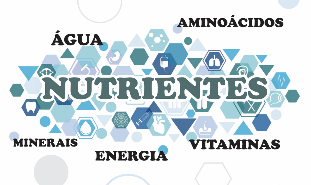 Nova edição da Revista Ingredientes & Nutrientes - Nutrição Animal